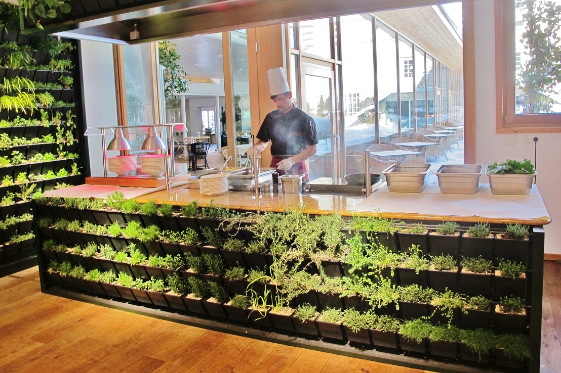 Greenwall Kraeuter Hotel Gastro Begruenung