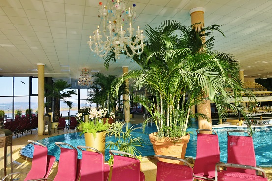 Palm trees in the swimming pool buy online
