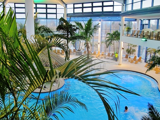Plan, buy and deliver palms online