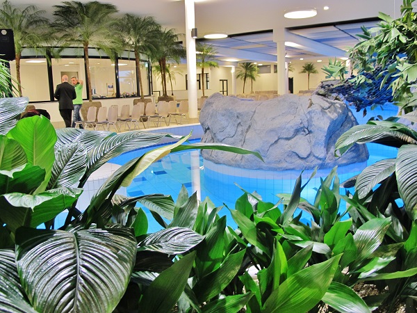 Plants at the pool area buy online