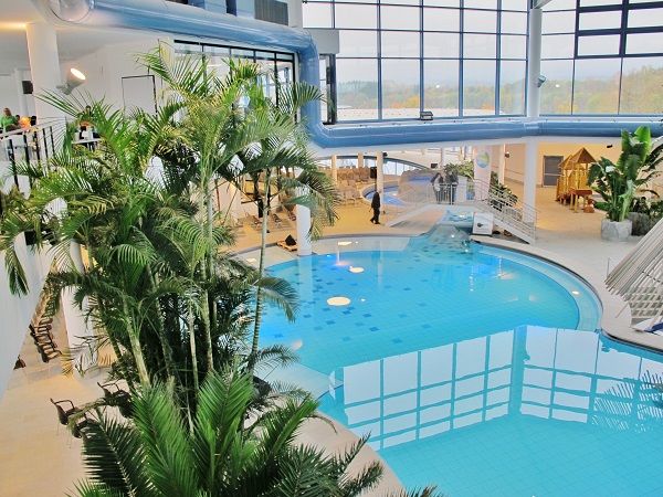 Swimming pool palm trees by the pool