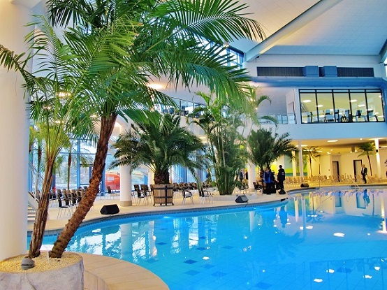 Palm trees by the pool in the thermal area buy online