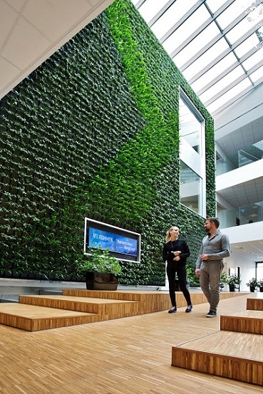 Greenwall - Modern, gesund, einfach schön - online planen und kaufen innenwandbegruenung gruene wand planen preis kaufen