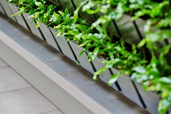 Greenwall - plant wall Greenwall - plant wall buy online