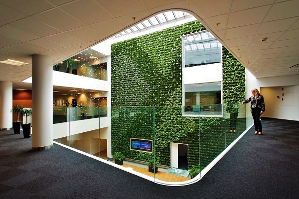 Large rooms with vertical green wall - Greenwall! Large rooms with green wall - Greenwall buy online