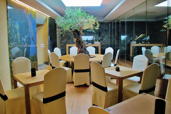 olive_tree_catering_plant_buy