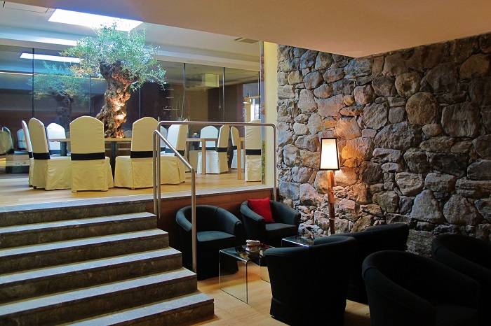 olive_tree_catering_plant_indoorlandscaping