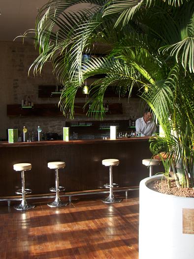 luxembourg objektbegruenung palme kaufen
