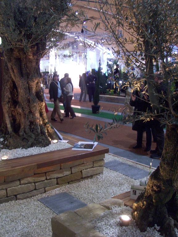 Olivenbäume auf der Giardina Messe Karlsruhe Messepflanze Olivenbaum olea europaea