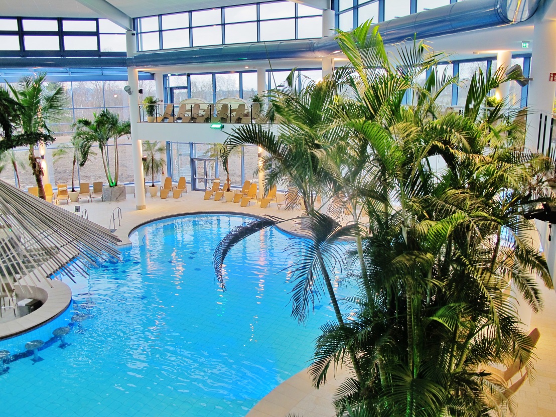 therme pool hallenbad freizeitbad pflanzen