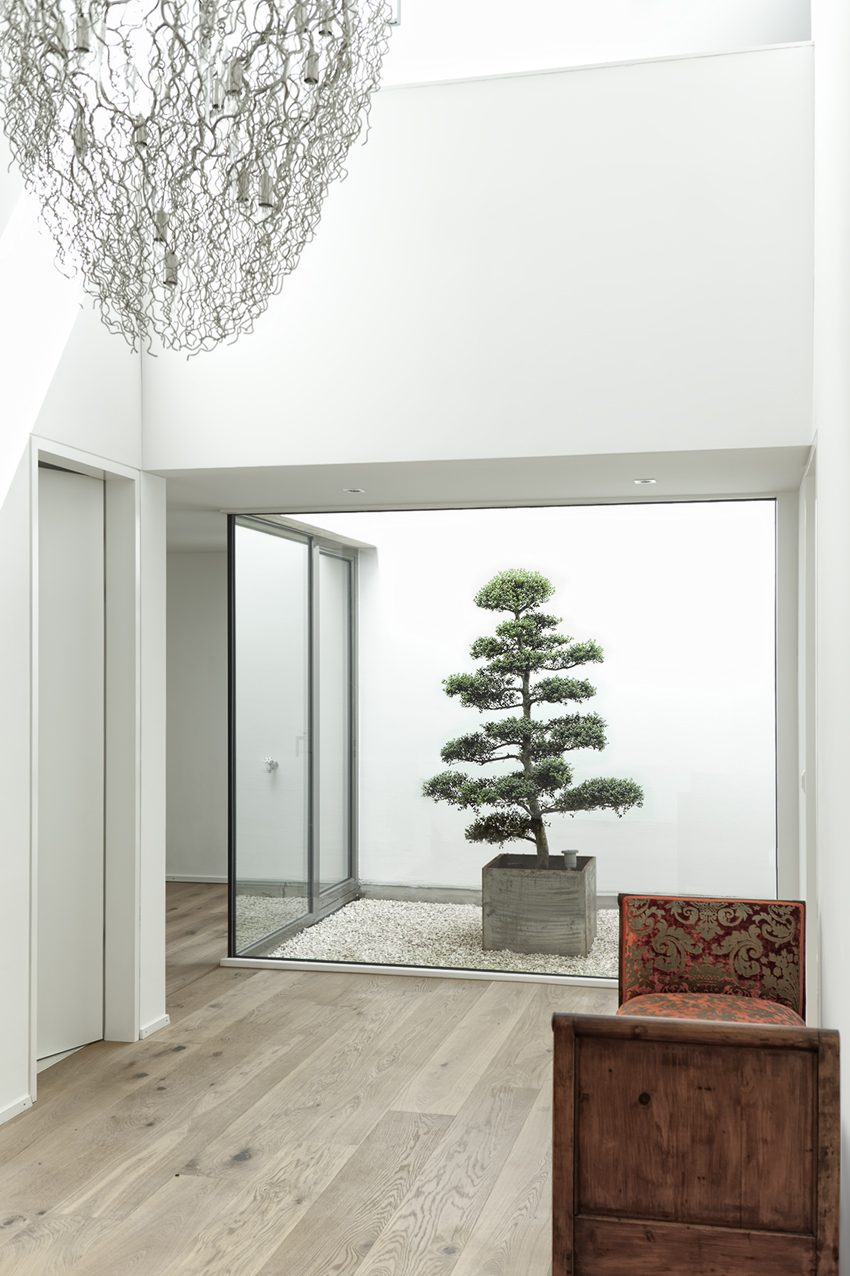 Lichthof Bern Schweiz mit Gartenbonsai im Lichthof oder Atrium Atrium Bern Schweiz Ilex Bonsai