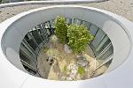 Mediterranes Dach Atrium kamelien yucca rostrata