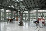 Olivenbaum olea europaea orangerie-wuerzburg