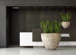 Zamia rockgefaess moderne-bepflanzung