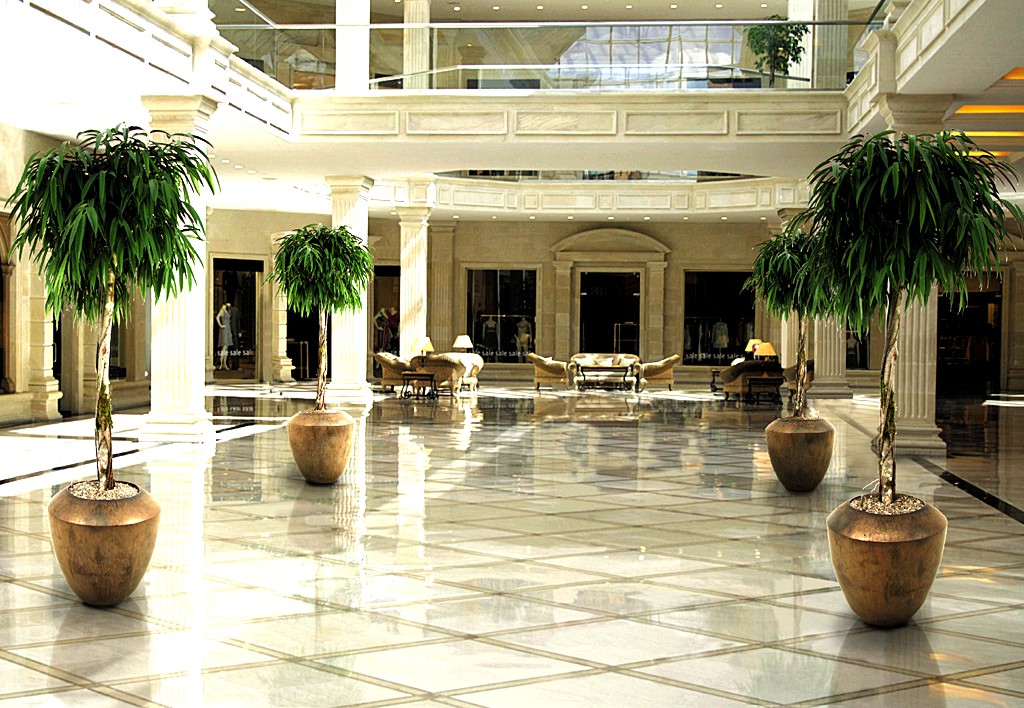 Ficus hochstamm sepiagefaess hotelsalon hotelpflanze