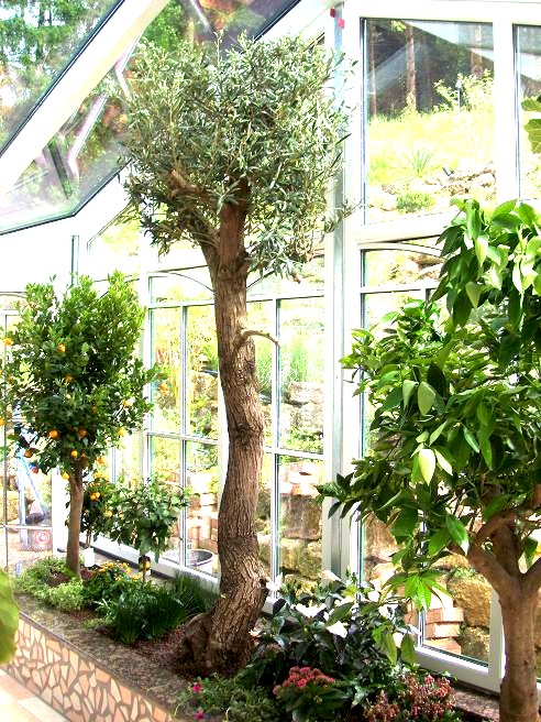 Wintergarten fertig bepflanzt nach Plan, Fotomontagen und Angebot - online Pflanzen kaufen - Bayern Wintergarten hochbeet subtropische pflanzen kaufen